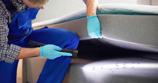Best Pest Removal Services  in Dunnavant, AL